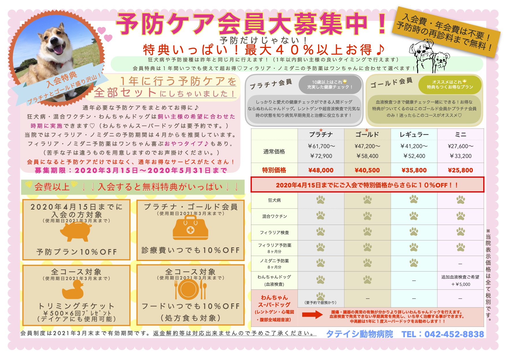 診療案内 調布の動物病院 トリミング タテイシ動物病院